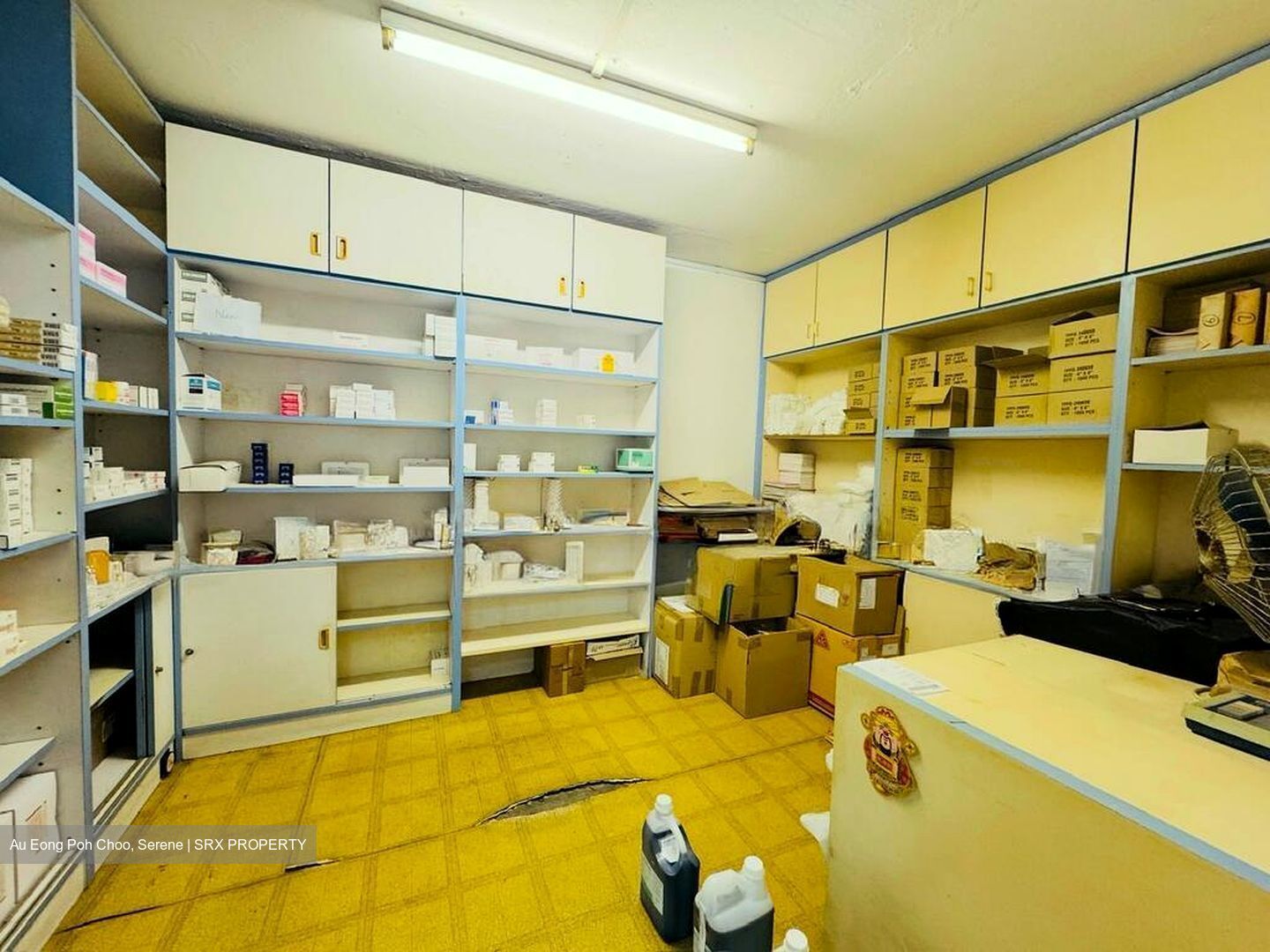 Ping-an Gardens (D16), Shop House #503302841